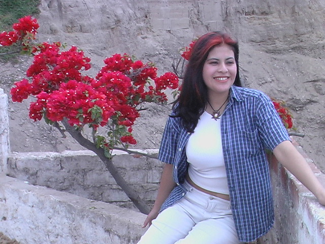 user